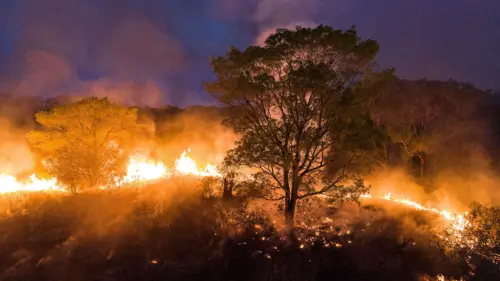 Acre registra mais de 15 focos de incêndio em apenas 48 horas, aponta Inpe