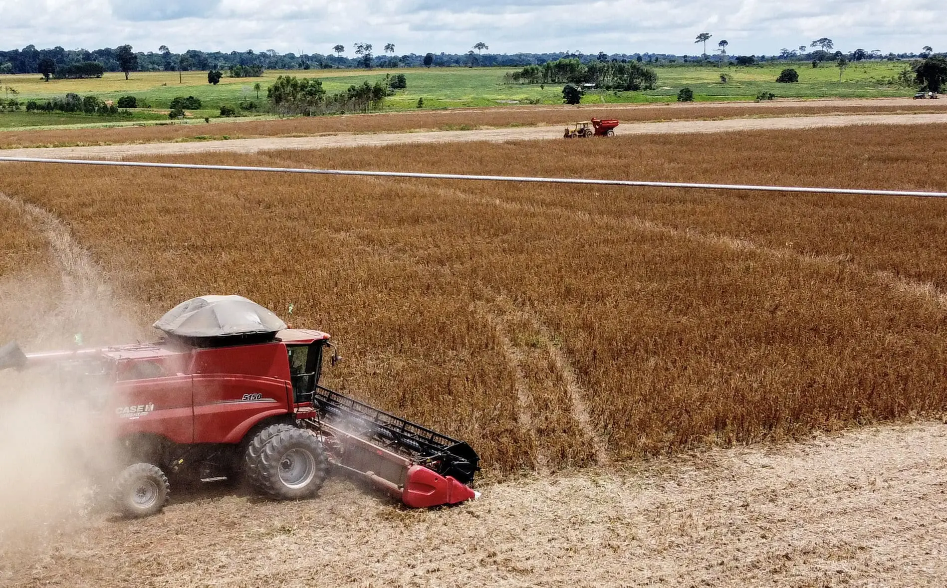 Acre fica fora do avanço da soja na Amazônia, aponta levantamento da safra 2024/2025