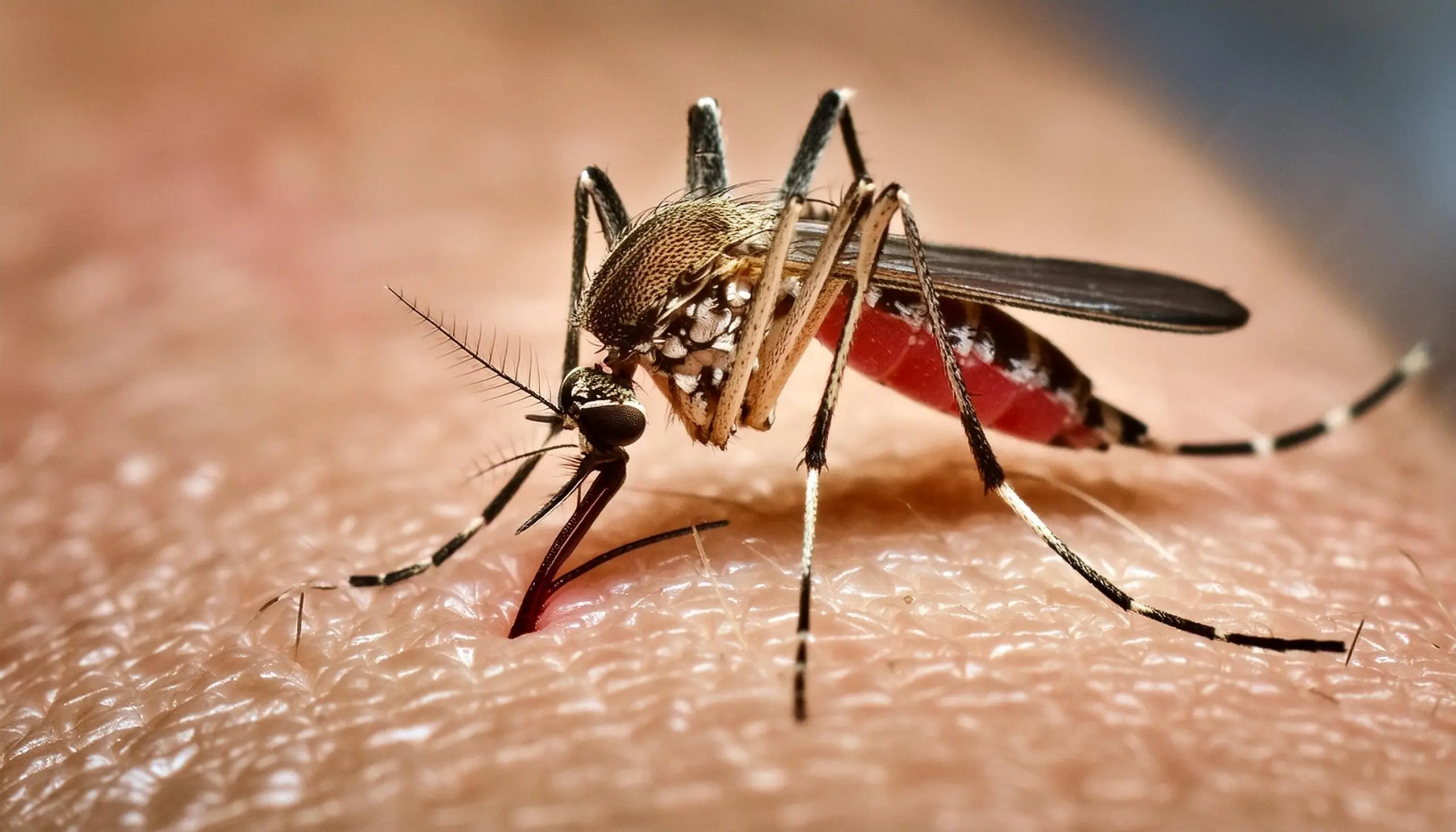 Acre já registra quase 6 mil casos de dengue; Santa Rosa do Purus é a única cidade sem registros