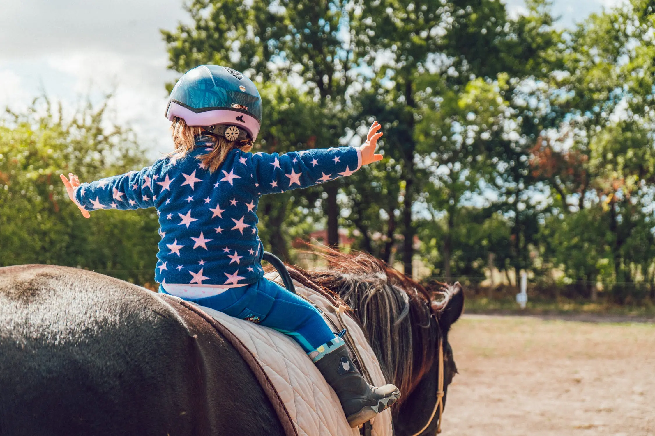 Fala de Gusttavo Lima sobre cavalos e autismo em show no Acre gera reação de profissionais