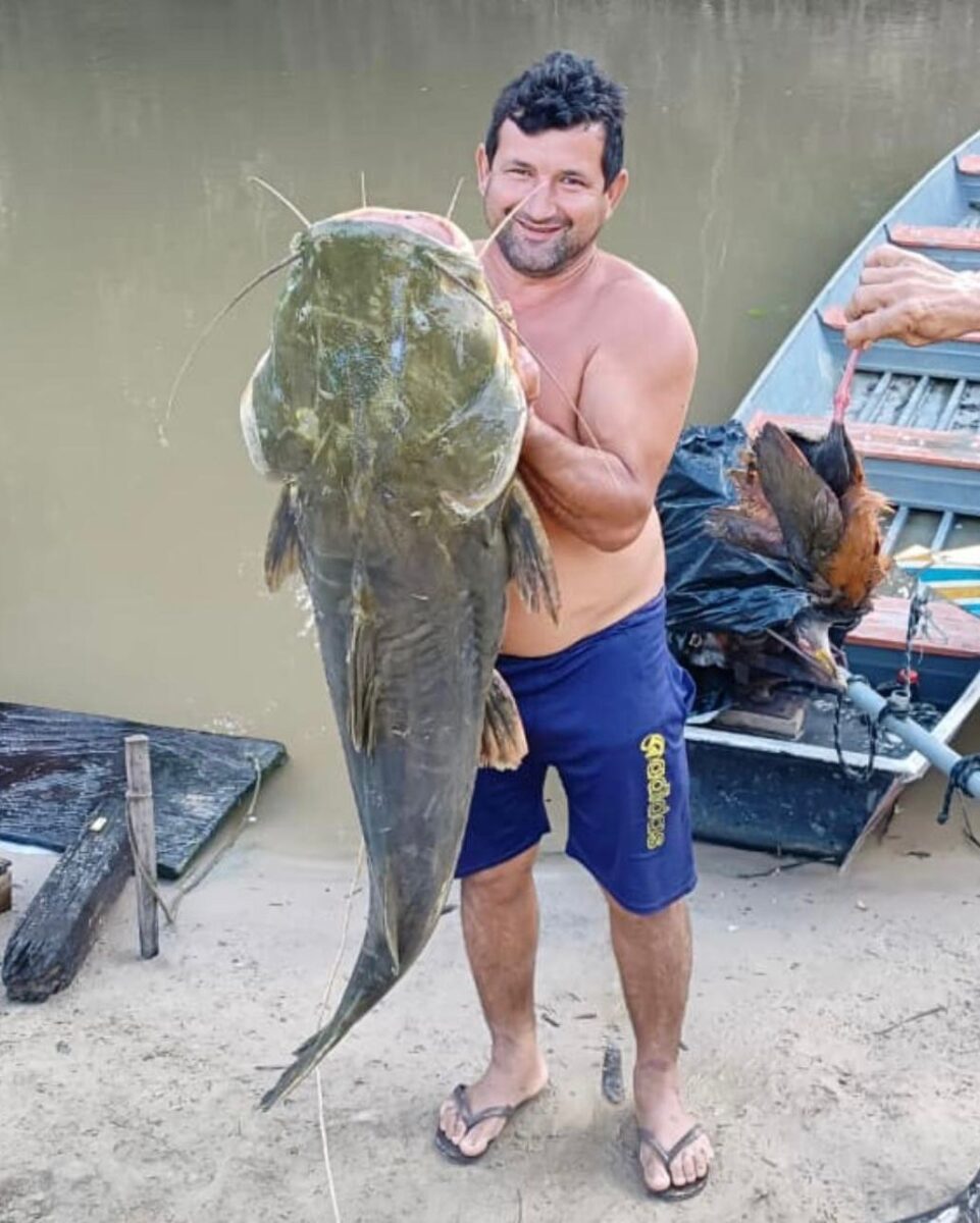 Morador fisga jundiá de mais de 80 quilos em Rodrigues Alves e compartilha carne