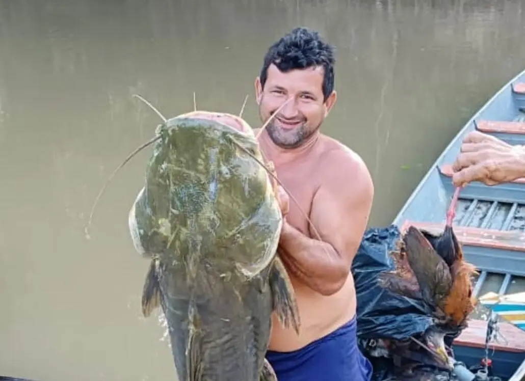 Morador fisga jundiá de mais de 80 quilos em Rodrigues Alves e compartilha carne