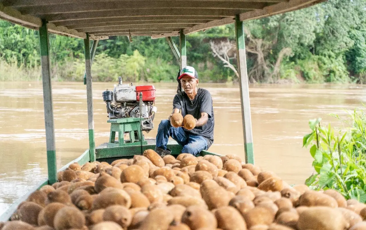 Coopaeb fortalece cooperativismo na Resex Chico Mendes e aposta no café como alternativa sustentável