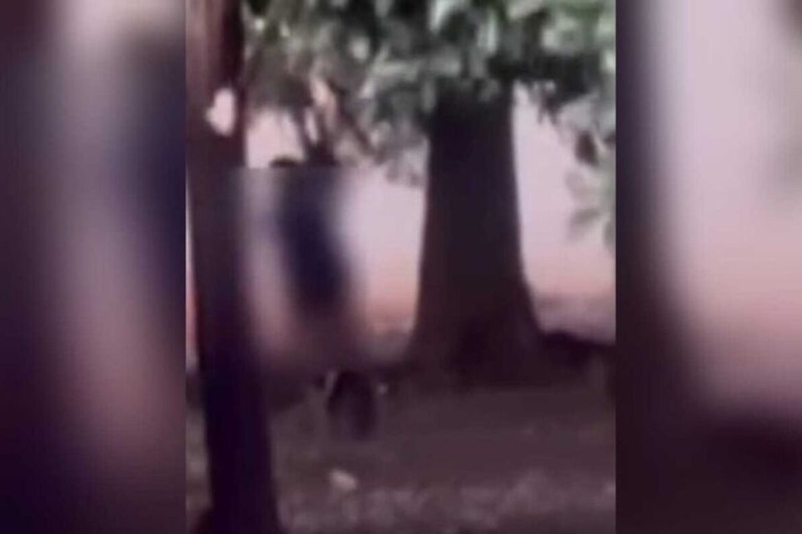 homem-se-masturba-em-predio-abandonado-em-ms.-veja-video