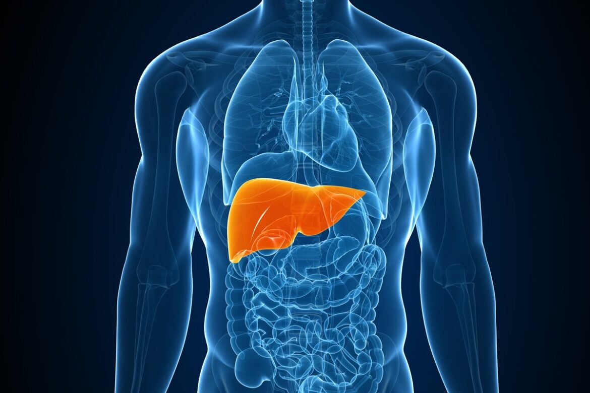 cha-anti-inflamatorio-pode-ajudar-a-proteger-o-figado-e-o-intestino