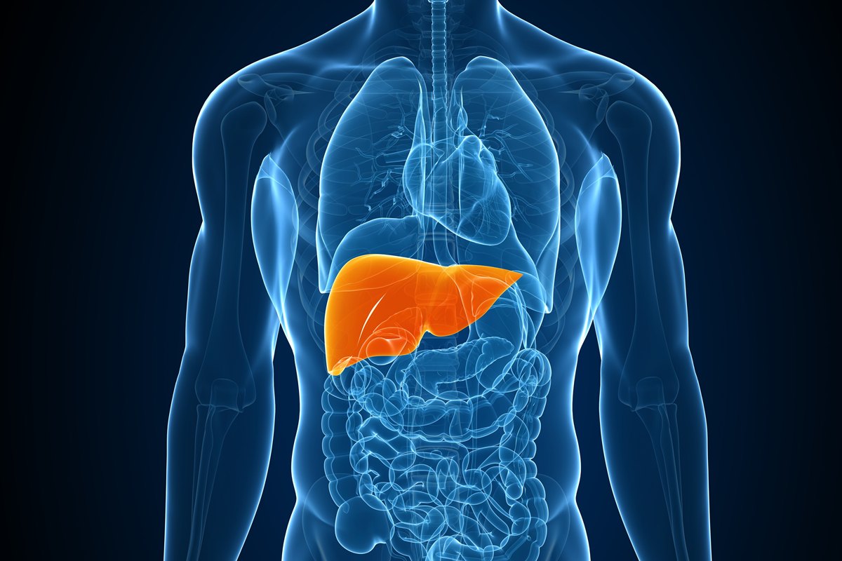 cha-anti-inflamatorio-pode-ajudar-a-proteger-o-figado-e-o-intestino