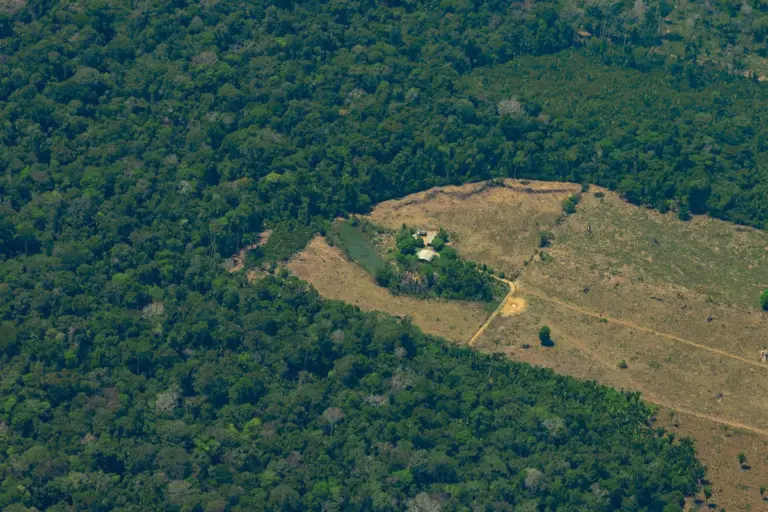 bndes-apoia-restauracao-florestal-com-geracao-de-empregos-na-amazonia