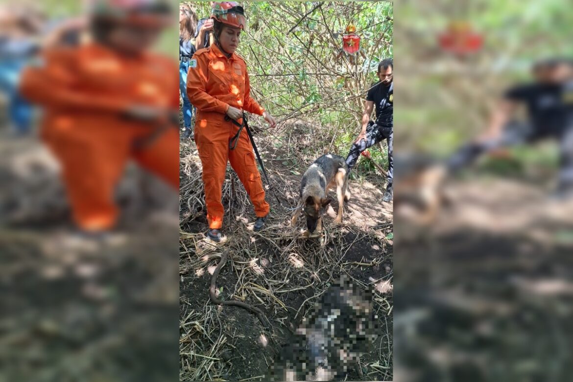 corpo-de-mulher-e-encontrado-enterrado-em-area-de-mata-no-areal