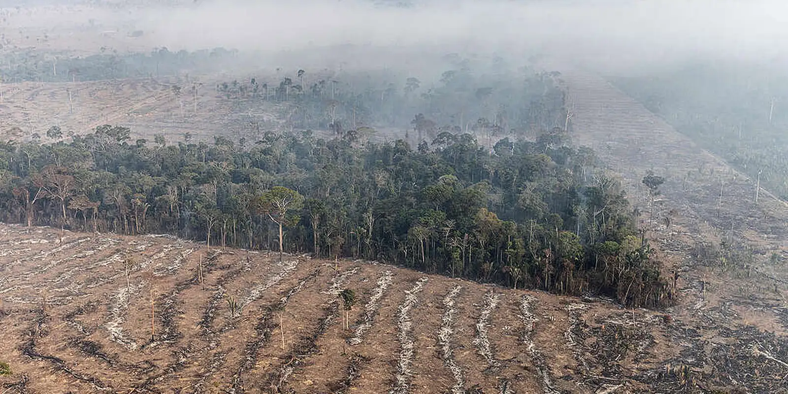Apenas 7% de ações judiciais de grilagem na Amazônia têm condenação Apenas 7% de ações judiciais de grilagem na Amazônia têm condenação
