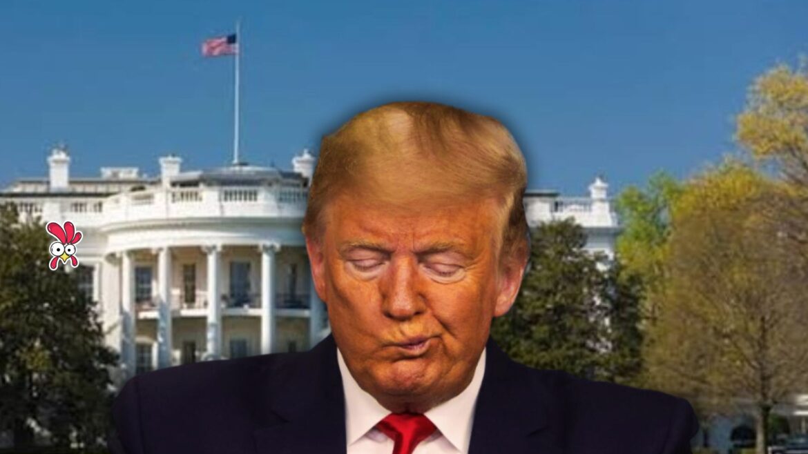 trump-avaliara-redes-sociais-de-imigrantes-para-conceder-beneficios