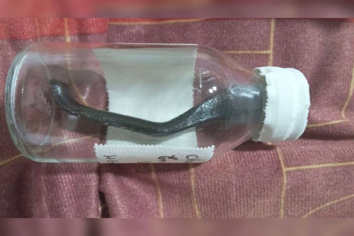 ciclista-atropelado-fica-9-meses-com-peca-de-bicicleta-na-barriga