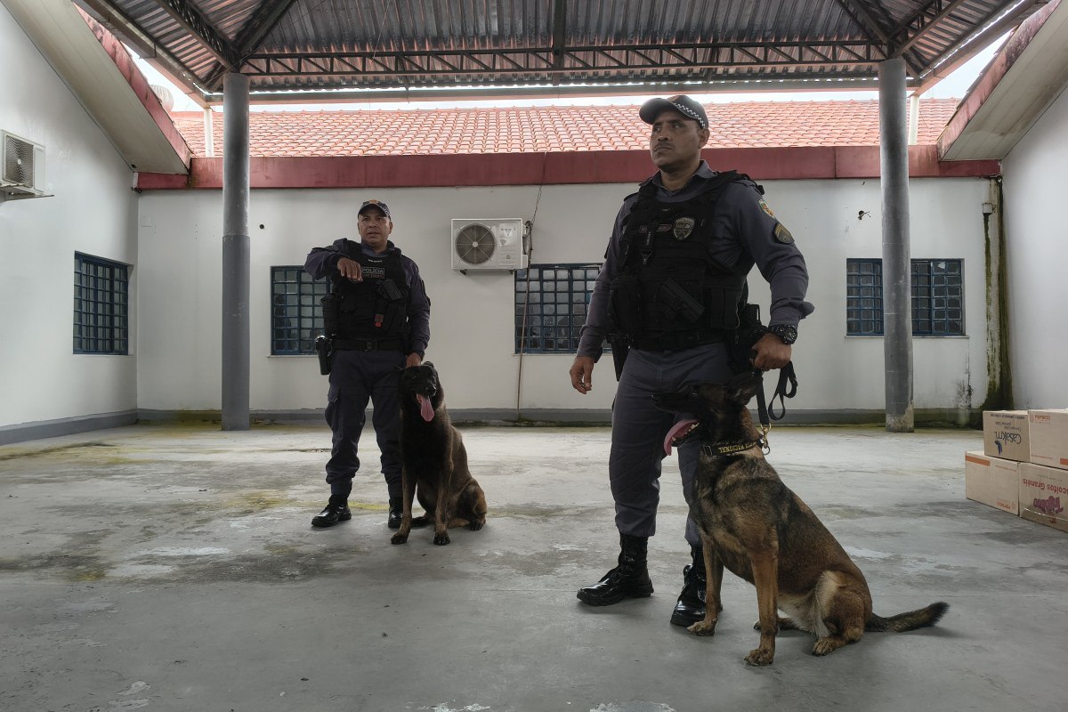 traficantes-escondem-drogas-em-pirarucu-para-driblar-caes-farejadores