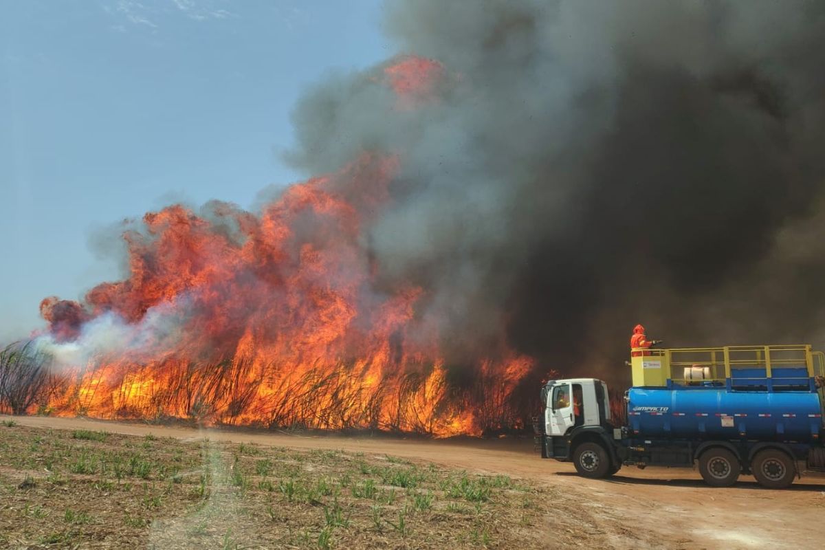 defesa-civil:-estado-de-sp-e-atingido-por-grandes-focos-de-incendio