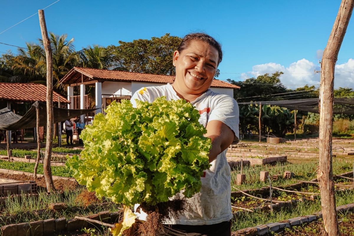 brasil-que-alimenta:-a-estrategia-que-tirou-o-brasil-do-mapa-da-fome