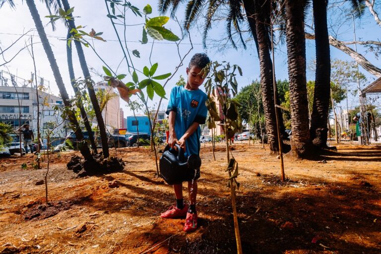 Bosque Pintassilgo, na Bela Vista, ganha plantio de espécies nativas