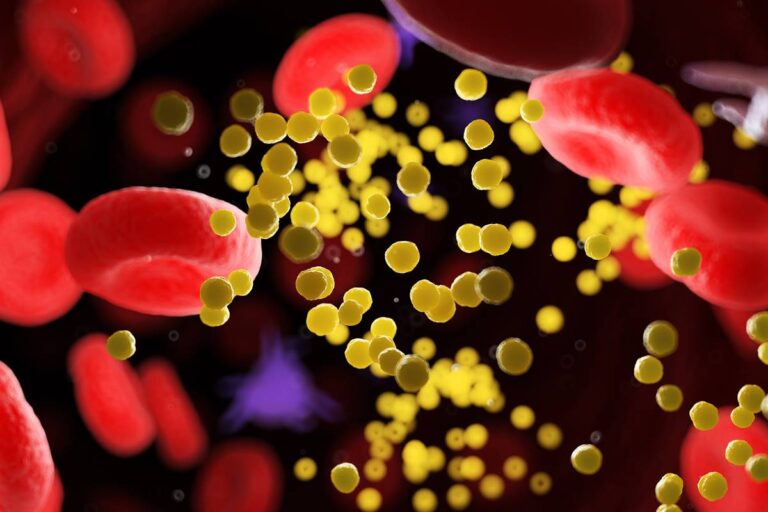 Colesterol alto: riscos, prevenção e hábitos que fazem a diferença