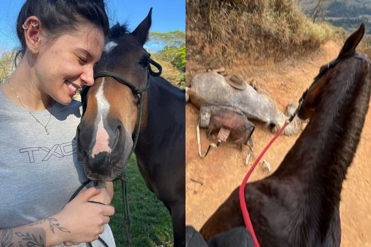 homem-denunciado-por-ana-castela-mutilou-cavalo-vivo,-diz-a-policia