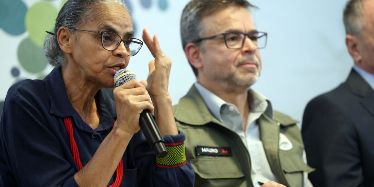 instituto-chico-mendes-chega-a-18-anos-com-solucoes-e-desafios