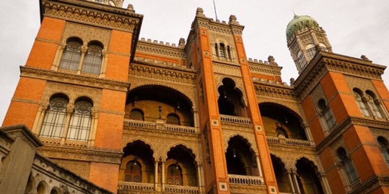 Fiocruz vai produzir remédio para atrofia muscular espinhal