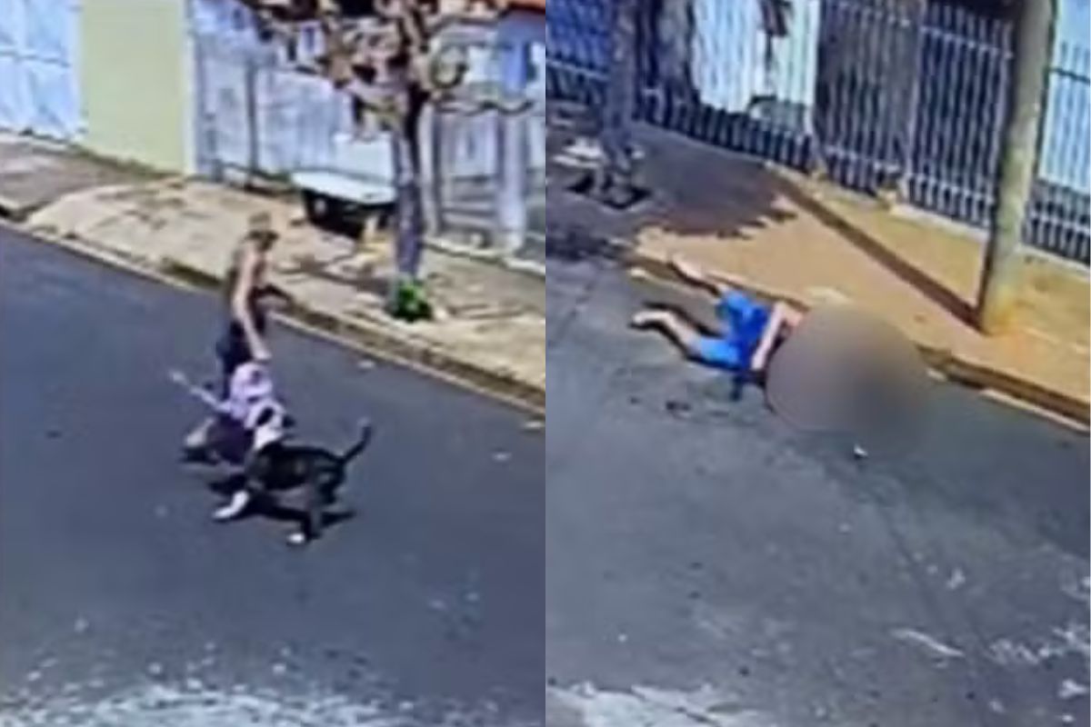 sp:-pit-bull-ataca-homem-de-78-anos-que-levava-bisneta-a-escola.-video