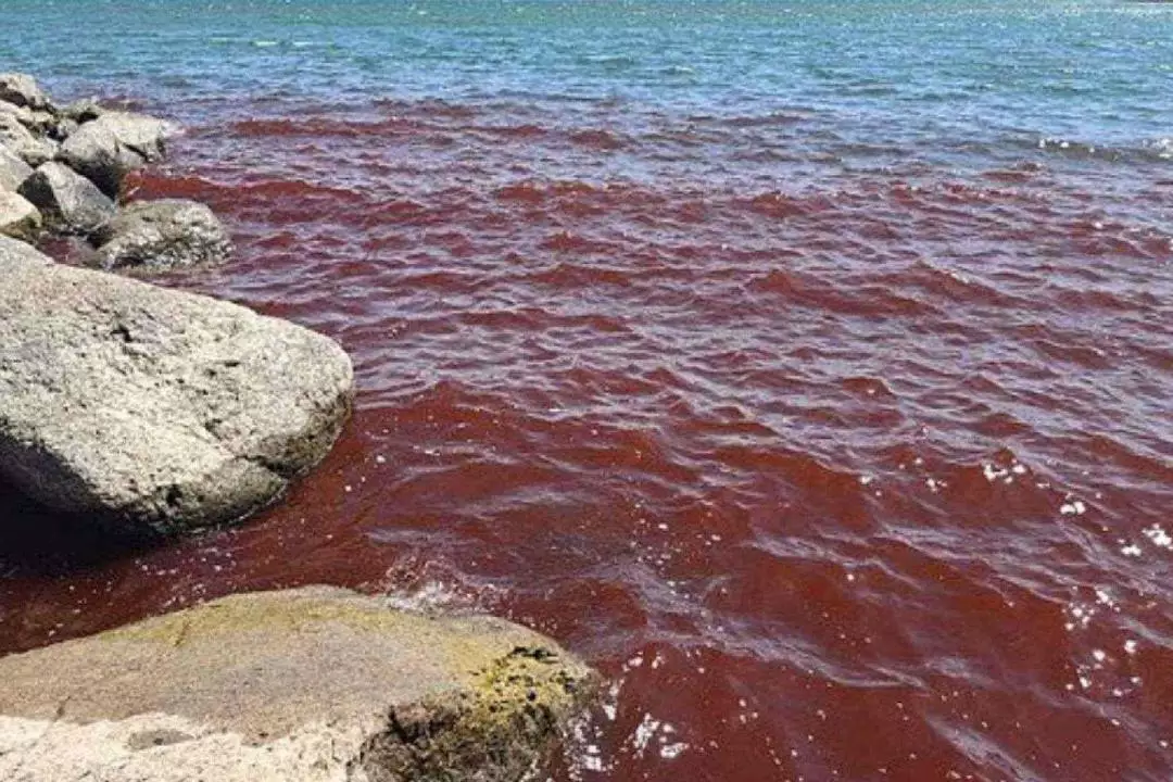 Mar da Galileia fica vermelho e levanta teorias bíblicas; entenda