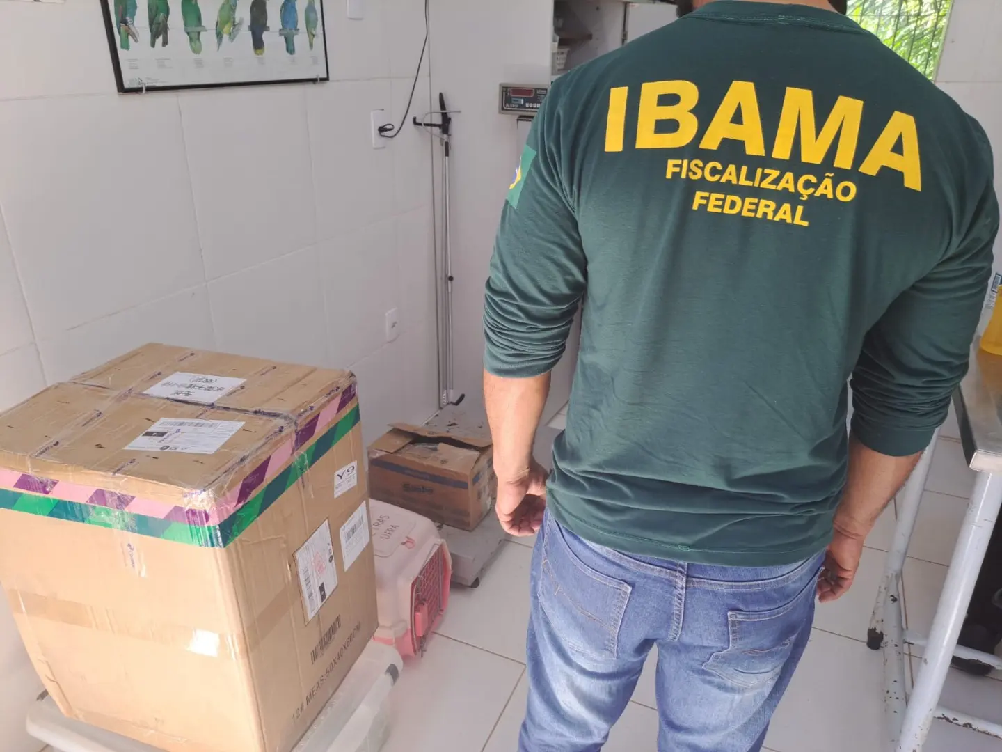 MPAC investiga casos de envio de produtos da fauna e flora silvestre pelos Correios no Acre