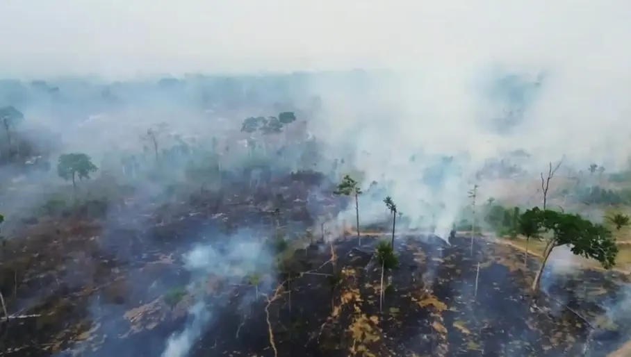 PF investiga incêndio criminoso que destruiu mais de 480 hectares na Amazônia e cumpre mandados no Acre