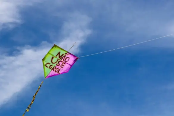 SaveClip.App_527957745_1139002278177717_7949879668369783304_n