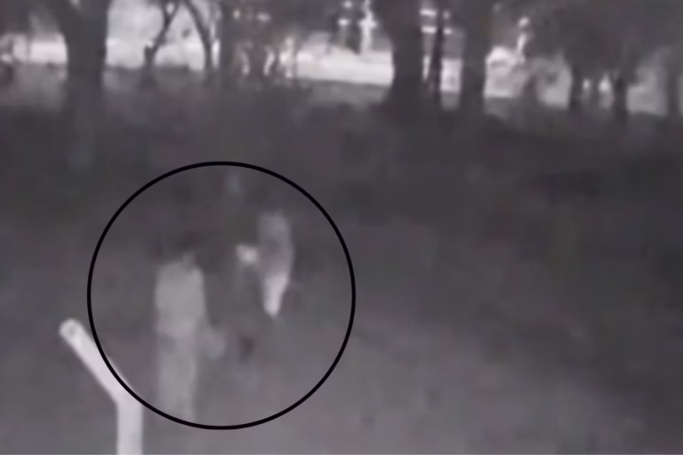 Casal que matou e desfigurou homem estava com bebĂȘ em carrinho; vĂdeo mostra agressĂŁo