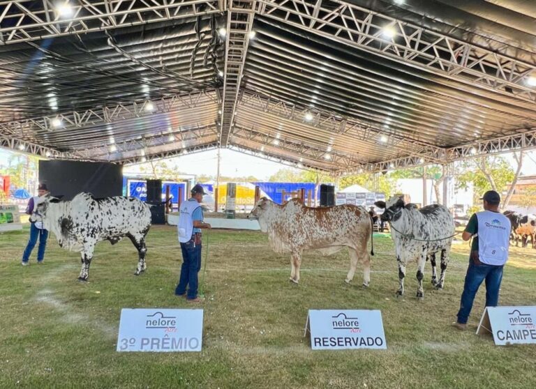 Leilões da Expoacre 2025 batem recorde e movimentam mais de R$ 10 milhões
