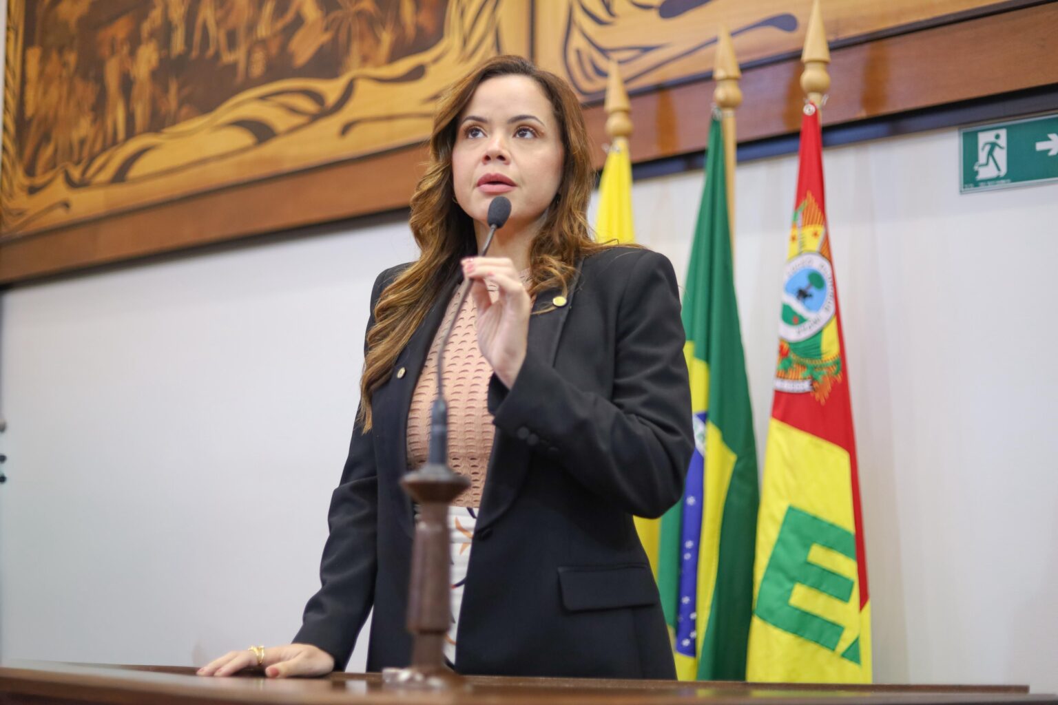 Em Cena: deputada Michelle Melo é a entrevistada do podcast do ContilNet nesta segunda