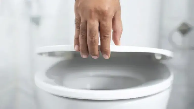 É possível pegar doenças ao usar assentos de privadas?