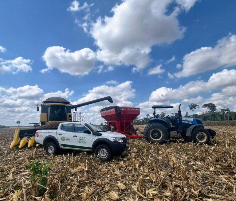 Acre entra em alerta máximo contra ferrugem asiática que pode destruir plantações de soja