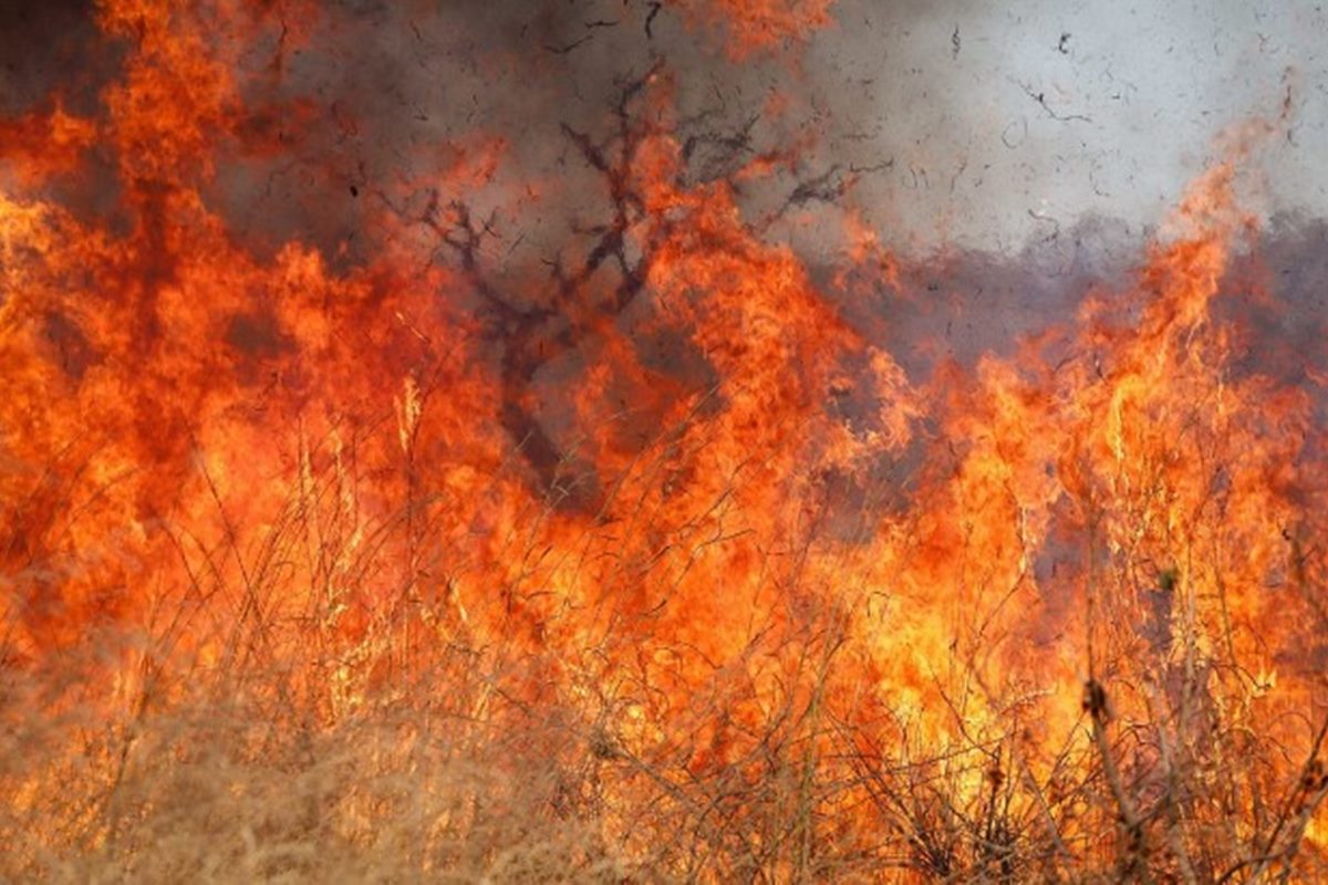 cachoeira-e-fechada-apos-incendio-atingir-regiao-de-mata-em-pirenopolis