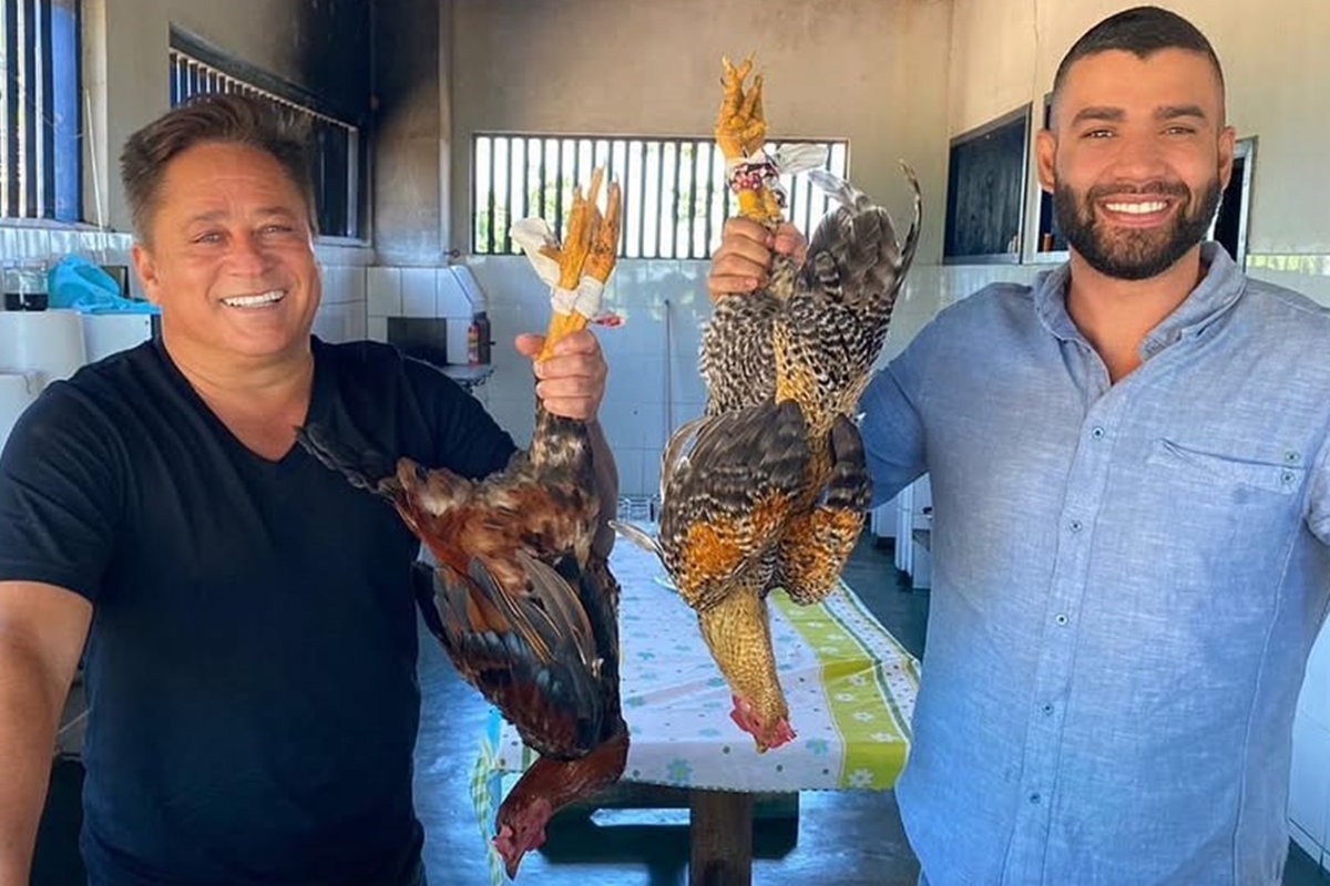 gusttavo-lima-abre-o-jogo-sobre-relacao-com-leonardo:-“engolir-sapos”