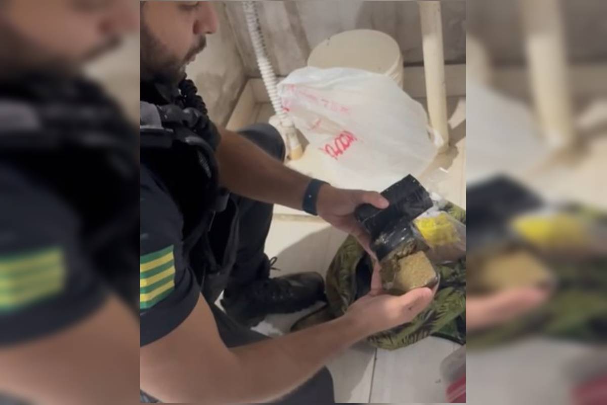 pcgo-cumpre-29-mandados-de-prisao-por-trafico-de-drogas-em-4-estados