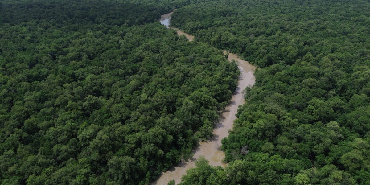 programacao-do-dia-da-amazonia-mobiliza-para-cop30