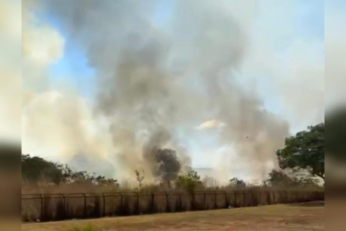 video:-incendio-atinge-area-de-vegetacao-proximo-ao-aeroporto-do-df