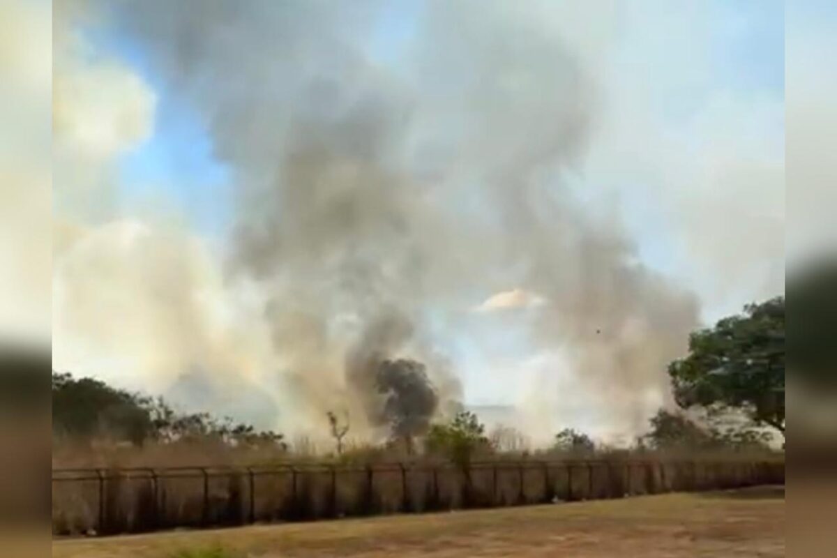 video:-incendio-atinge-area-de-vegetacao-proximo-ao-aeroporto-do-df