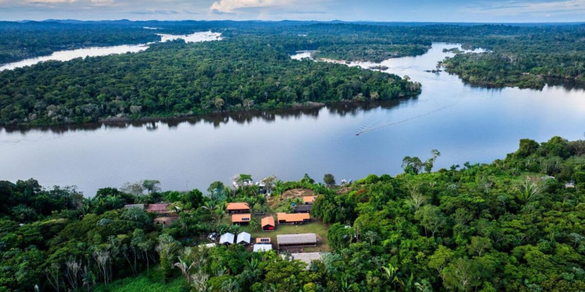 bndes-lanca-edital-voltado-para-recuperacao-da-floresta-amazonia