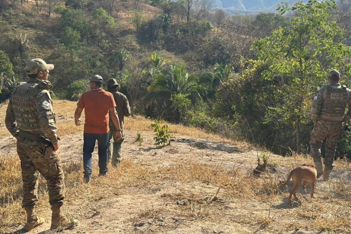bpma-alerta-para-presenca-de-onca-e-filhotes-perto-de-chacaras-do-df