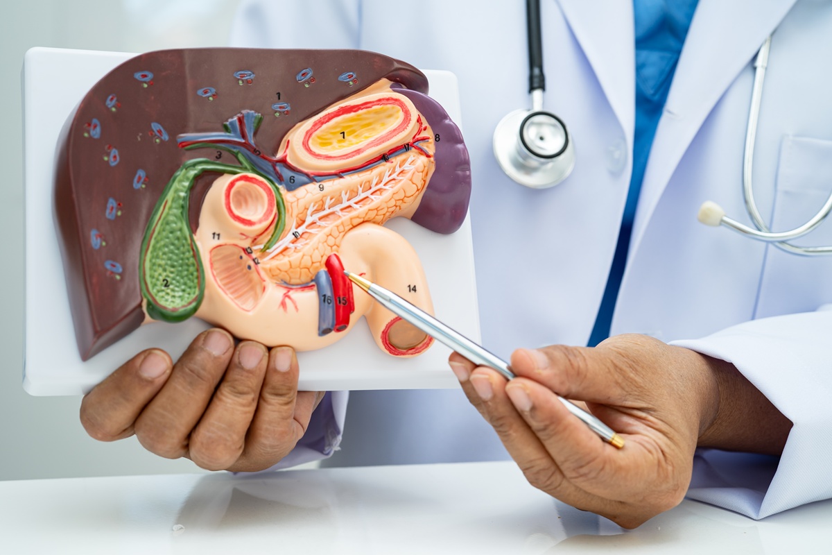 cha-anti-inflamatorio-ajuda-a-proteger-o-figado-e-a-saude-do-pancreas