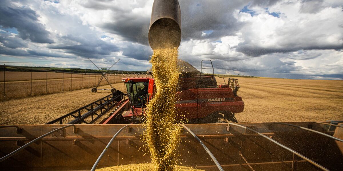 queda-no-preco-dos-alimentos-vai-permanecer,-diz-ministro