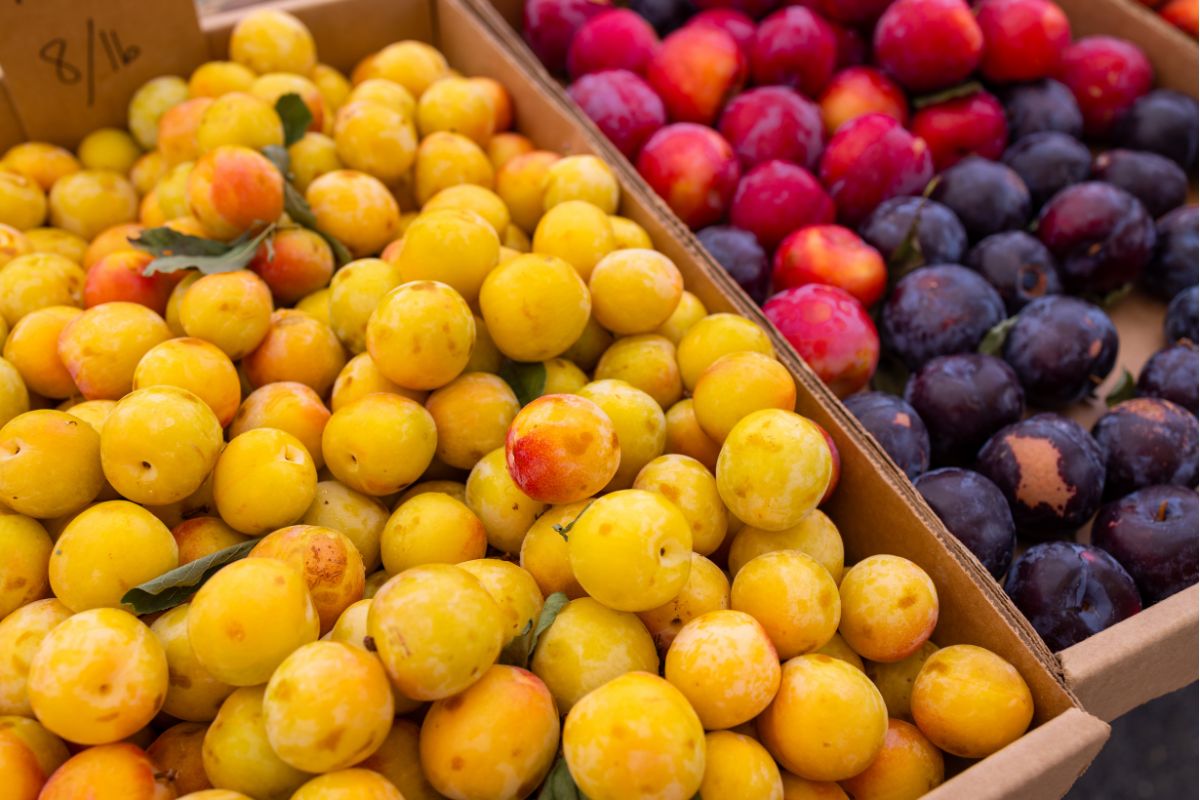 fruta-anti-inflamatoria-ajuda-na-limpeza-do-figado-e-e-rica-em-fibras