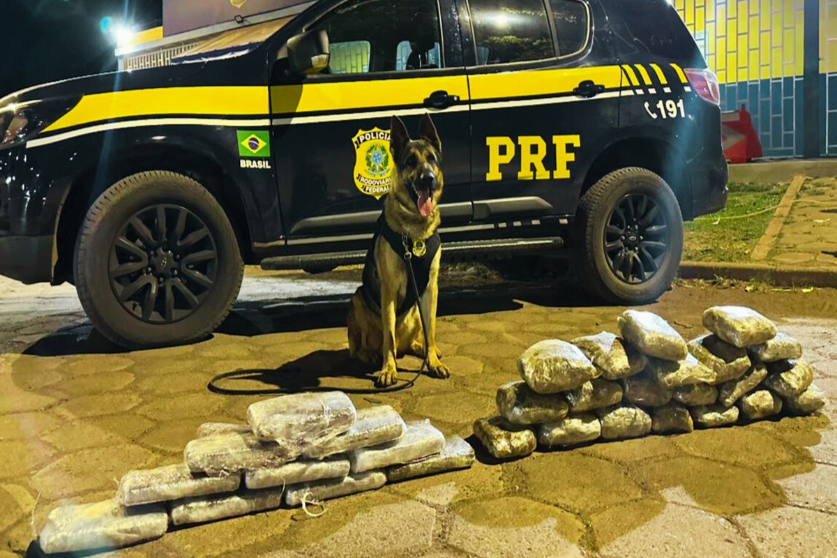 cachorro-acha-20-kg-de-drogas-em-mala-e-estraga-viagem-de-traficante