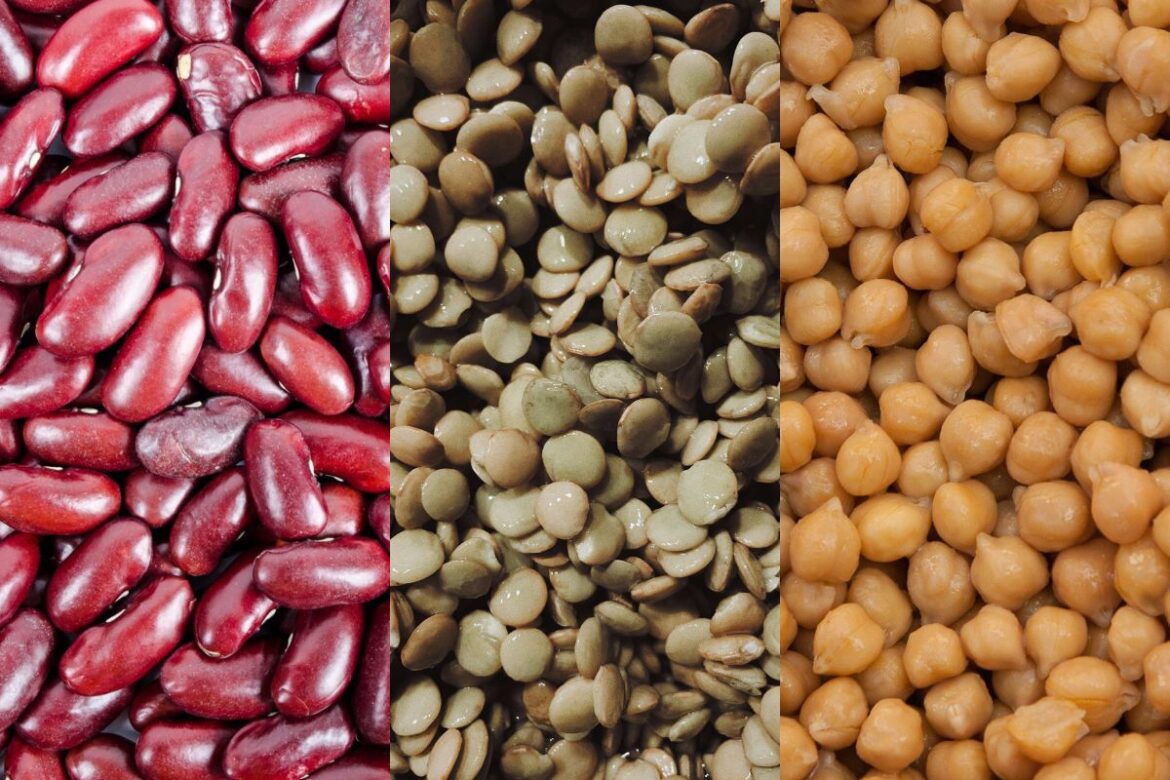 feijao,-lentilha-ou-grao-de-bico:-qual-opcao-tem-mais-proteina?