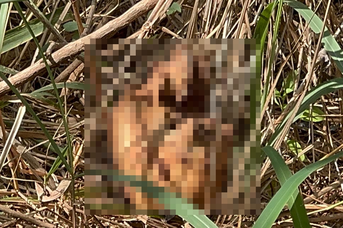 macabro:-policia-acha-cadaver-e-ossadas-em-cemiterio-do-crime