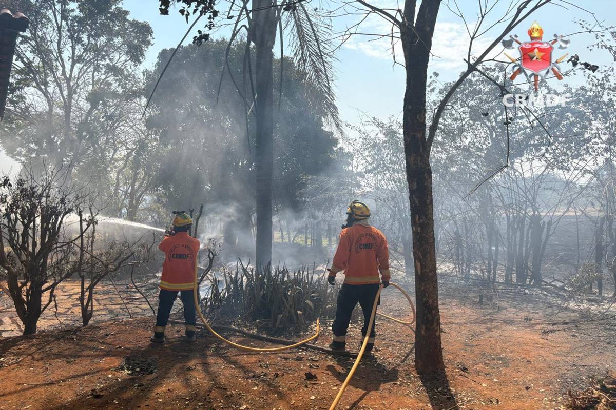 incendio-florestal-volta-a-atingir-o-lago-oeste-pelo-2o-dia-consecutivo