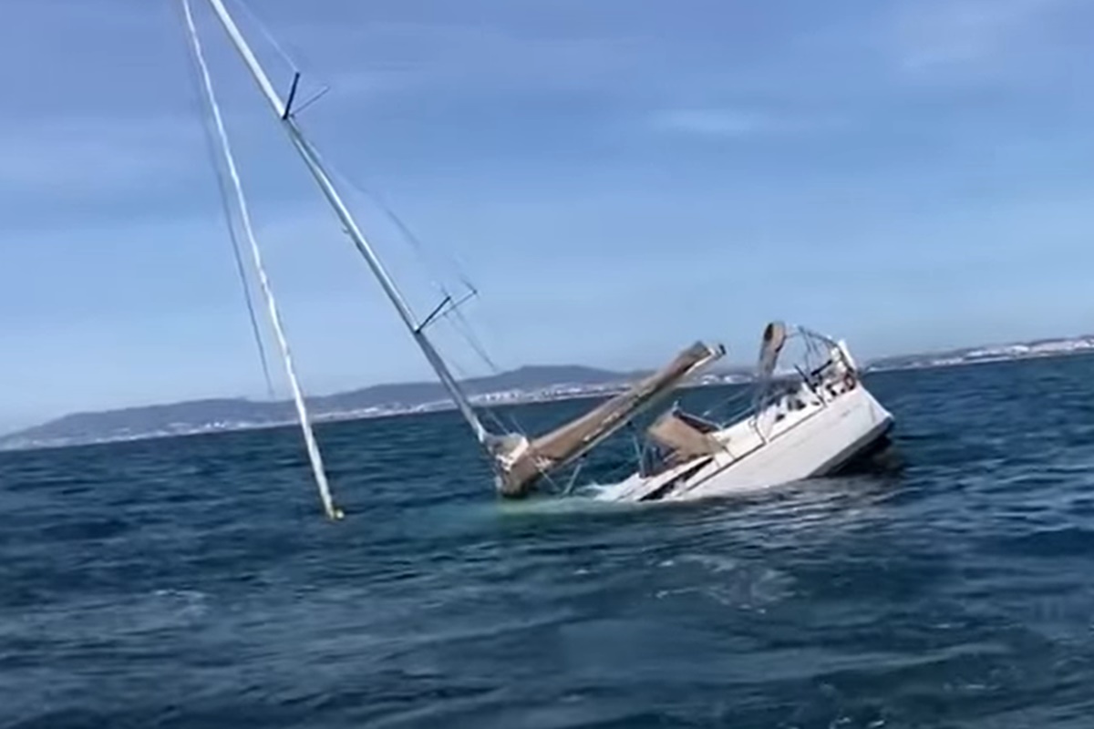 baleia-assassina?-orcas-afundam-barco-com-5-pessoas-em-portugal;-video