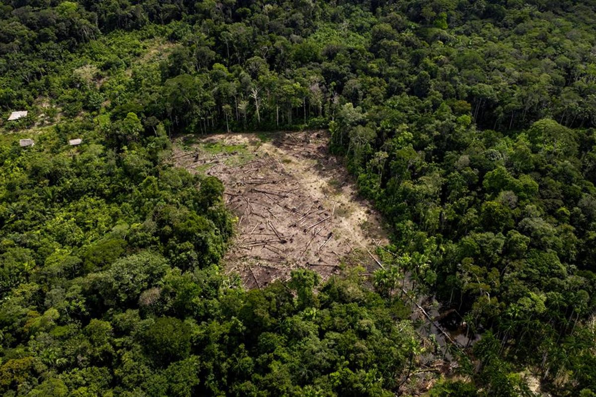 brasil-e-o-quarto-pais-que-mais-mata-ativistas-ambientais